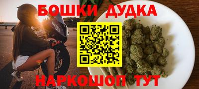 сатива Новозыбков