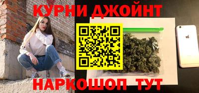 сатива Новозыбков