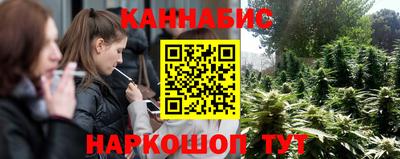 сатива Новозыбков