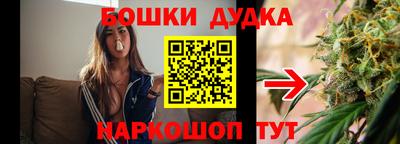 сатива Новозыбков