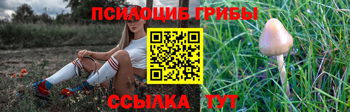 Псилоцибиновые грибы Magic Shrooms Хасавюрт
