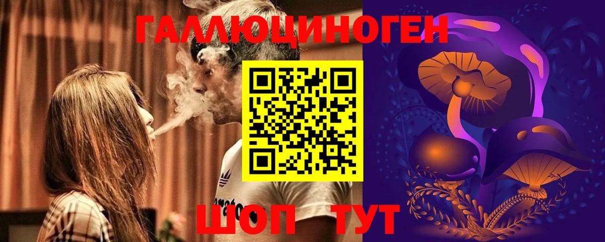 Псилоцибиновые грибы Psilocybe  Вход с VPN  Галлюциногенные грибы Psilocybe  Хасавюрт 