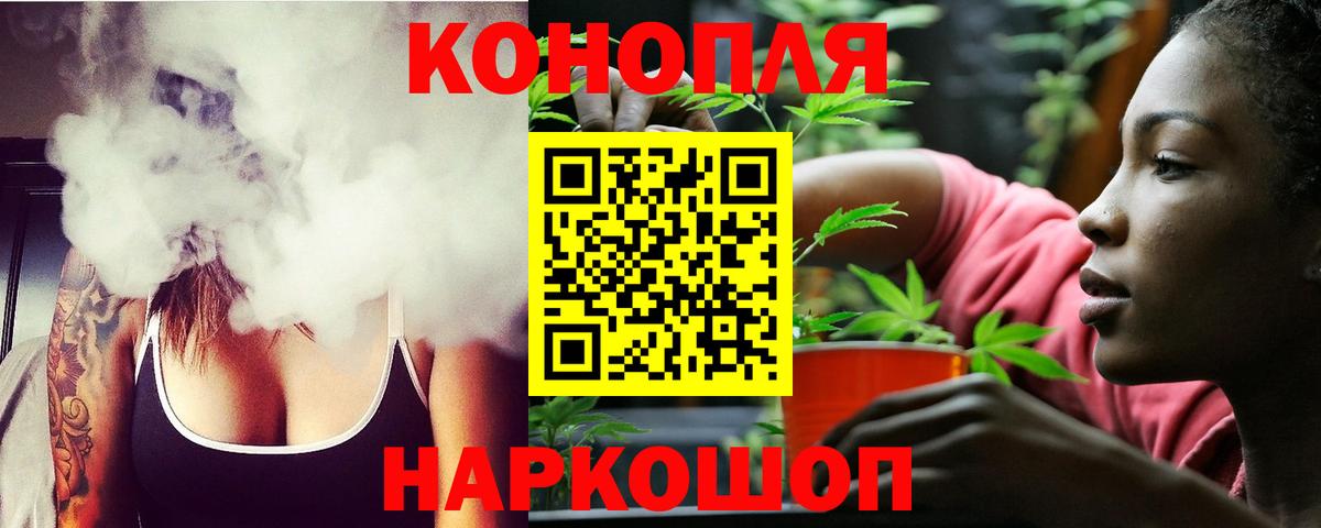 Каннабис план  Конопля сатива  Вход с VPN  Хасавюрт 